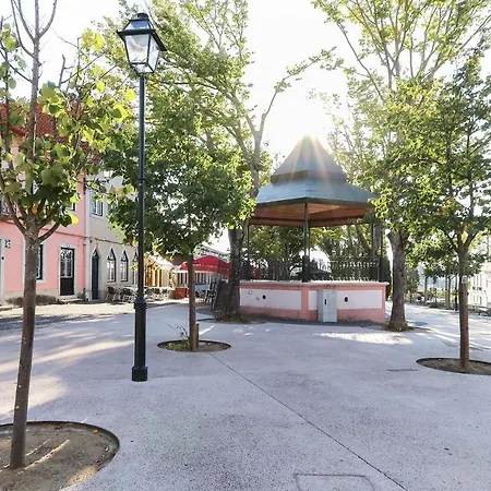 Benfica Iii By Homing Lisboa