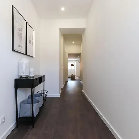Benfica Iii By Homing Daire *