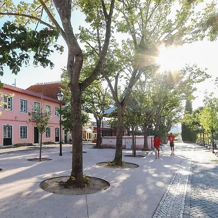 Benfica Iii By Homing *